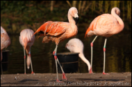 IMG_021101 IMG_021101
