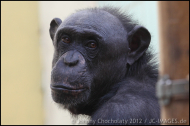 IMG_024301 IMG_024301