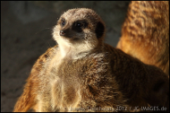 IMG_044901 IMG_044901